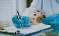Microbial Monitioring of Manufacturing, Dispensing Areas